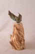 A Hoot and a Holler 4/15