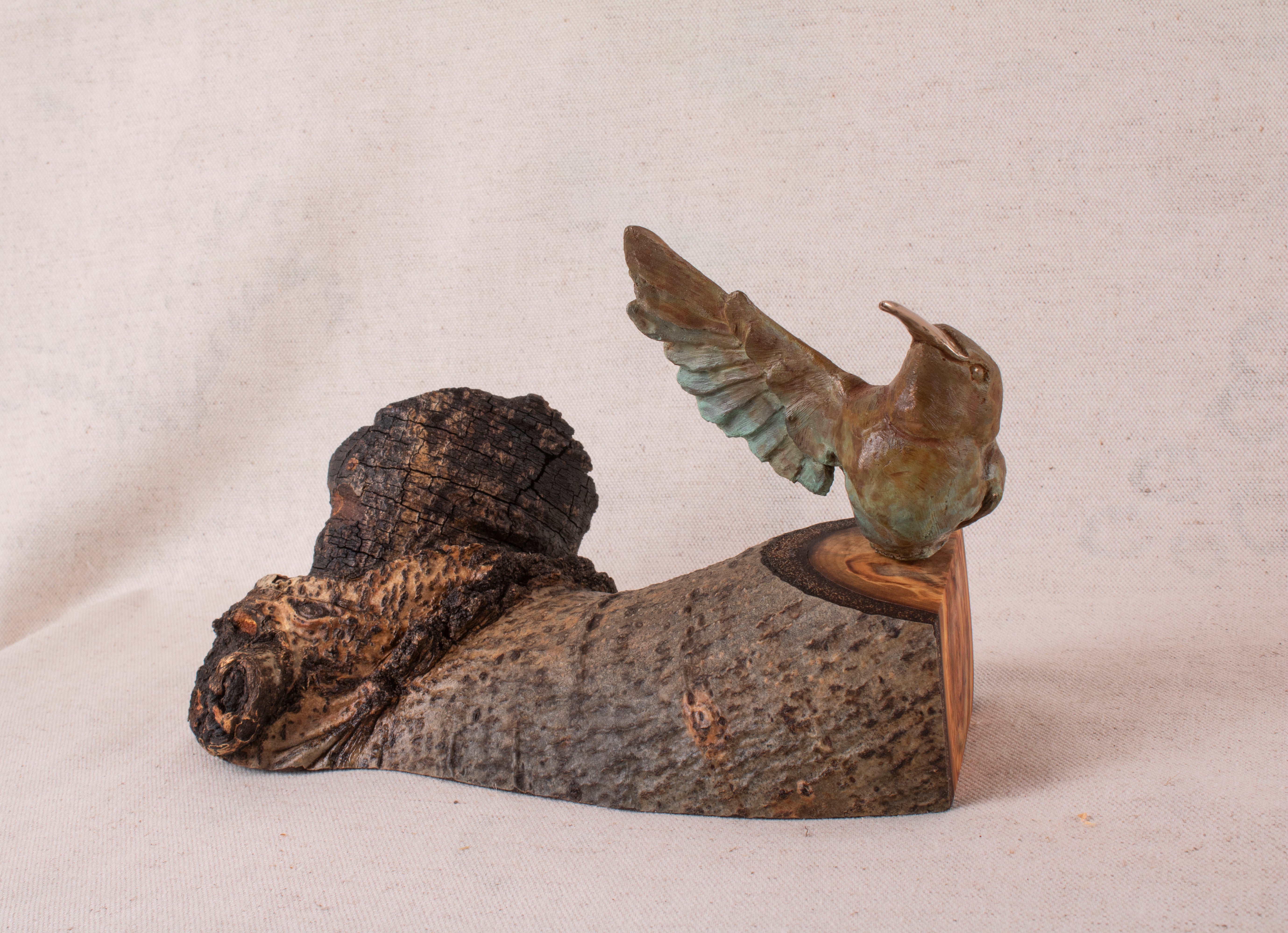 A Hoot and a Holler 5/15