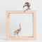 "Crane Curiosities #3 1/15" and "Crane Curiosities #1 2/15"