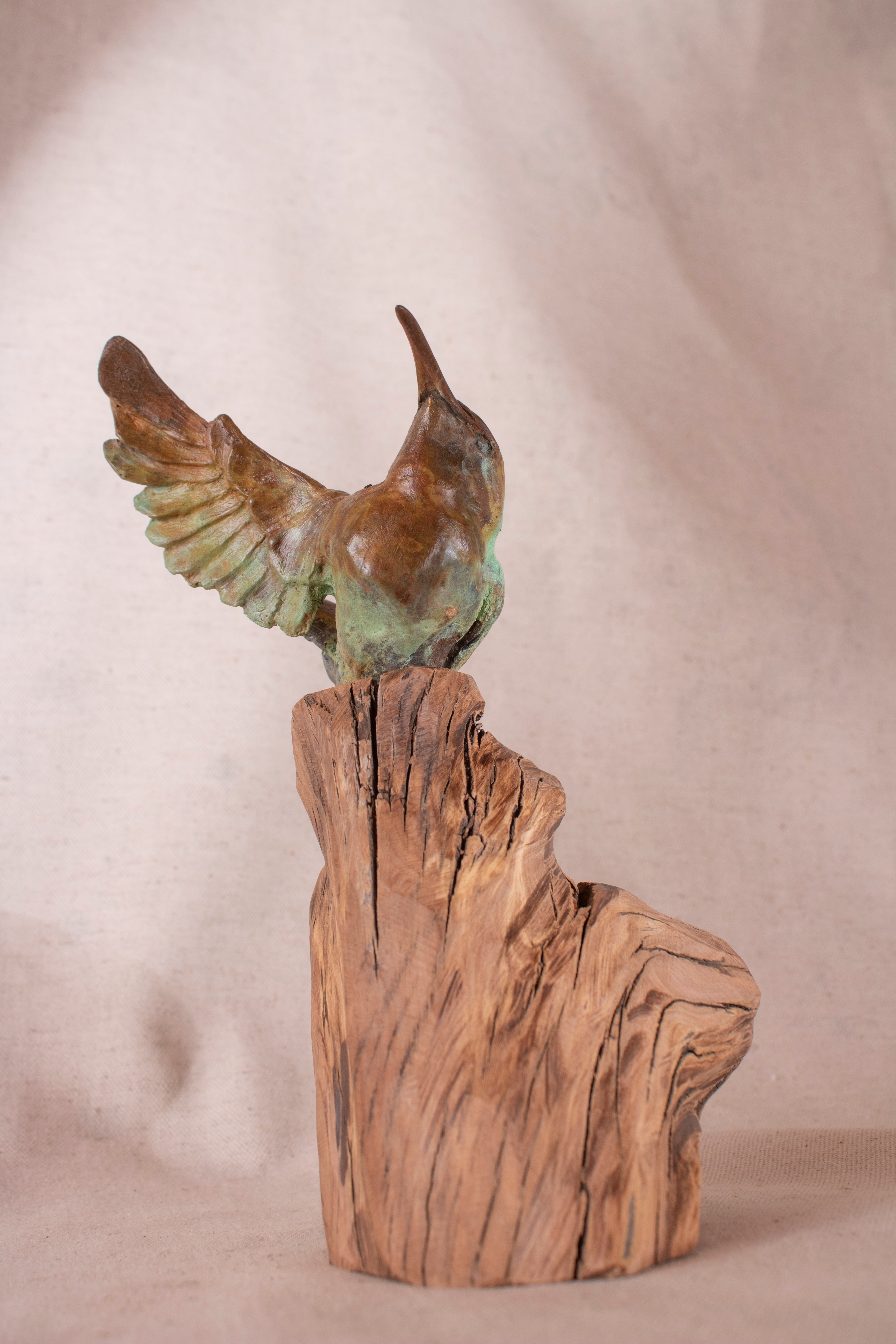 A Hoot and a Holler 1/15
