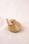 Bird Potato #2 1/15